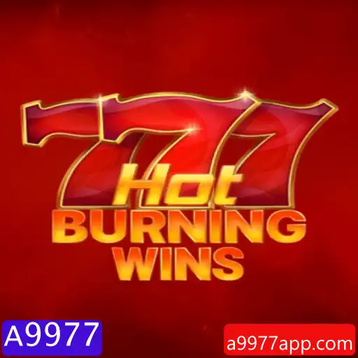 Descubra o Mundo de Emoções em HotBurningWins: Um Mergulho nas Regras e na Dinâmica do Jogo