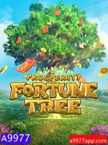 Explorando as Aventuras de ProsperityFortuneTree com a Chave A9977